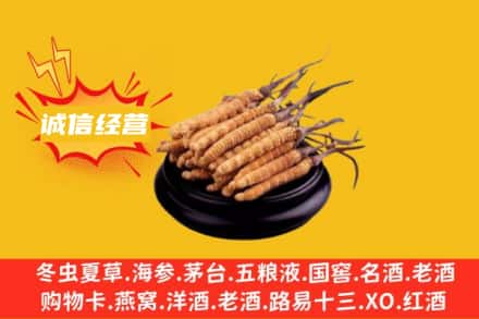 邵阳市北塔回收冬虫夏草